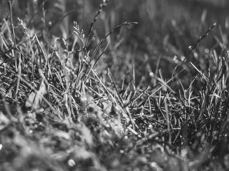 Lakeside Reading Nook